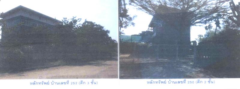 250,252  ทรายกองดิน คลองสามวา กรุงเทพมหานคร