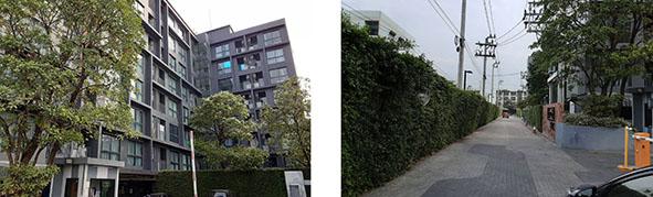 ห้องชุดเลขที่ึ 794/42 ชั้นที่ 4 อาคารเลขที่ บี อช.ดิ เอ็กเซล กรูฟ อาคารบีและอาคารซี  บางนา บางนา กรุงเทพมหานคร