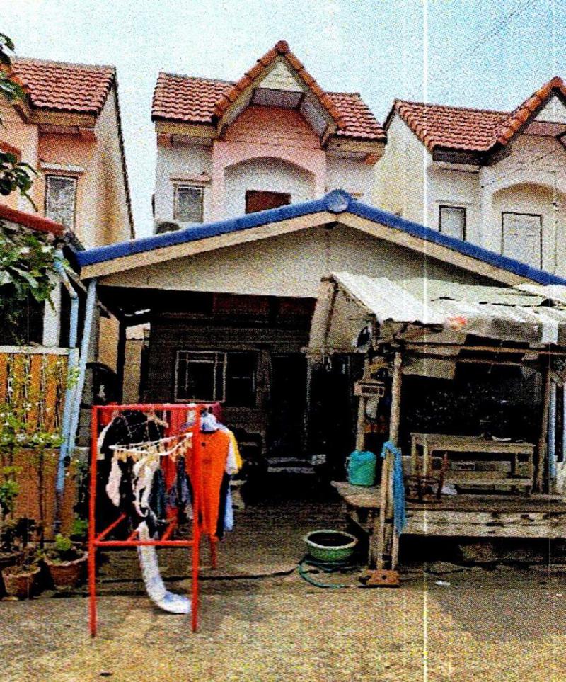 กระทุ่มราย หนองจอก กรุงเทพมหานคร