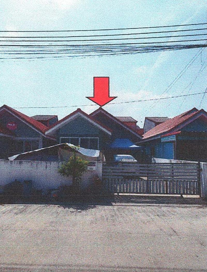 กระทุ่มราย หนองจอก กรุงเทพมหานคร