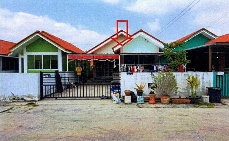 กระทุ่มราย หนองจอก กรุงเทพมหานคร