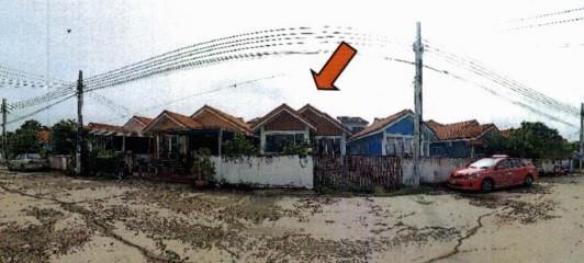 กระทุ่มราย หนองจอก กรุงเทพมหานคร