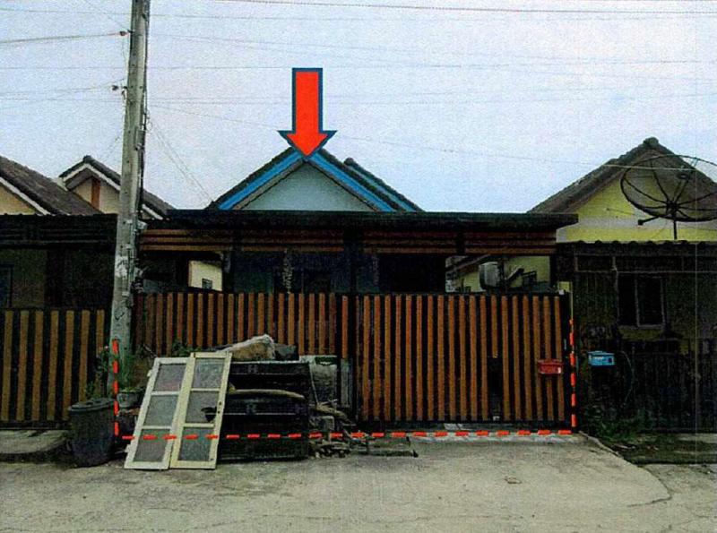 กระทุ่มราย หนองจอก กรุงเทพมหานคร