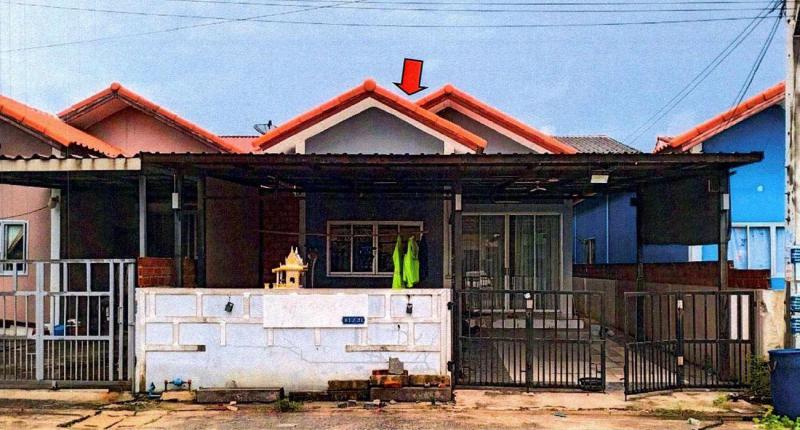 กระทุ่มราย หนองจอก กรุงเทพมหานคร