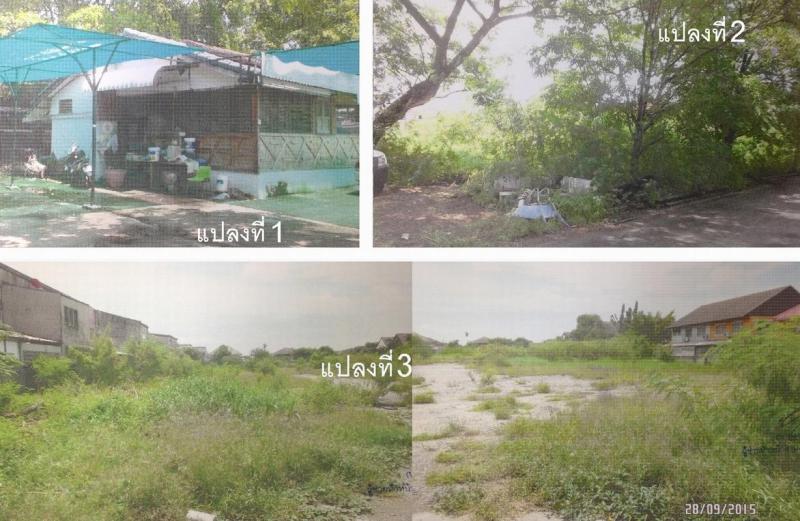 สายไหม บางเขน กรุงเทพมหานคร