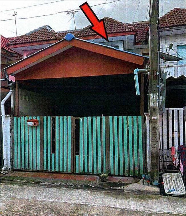 กระทุ่มราย หนองจอก กรุงเทพมหานคร