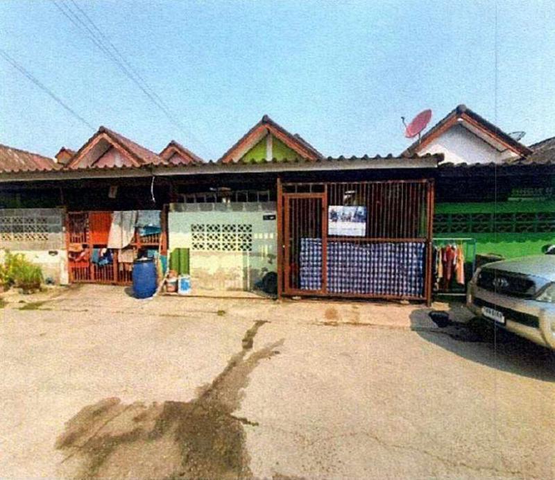 กระทุ่มราย หนองจอก กรุงเทพมหานคร