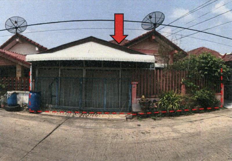 กระทุ่มราย หนองจอก กรุงเทพมหานคร