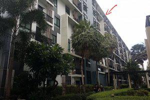 833/125 ชั้นที่ 5 อาคารเลขที่ เอ4 ซอย ในโครงการ ถนน ลาซาล (สุขุมวิท 105) บางนาใต้ บางนา กรุงเทพมหานคร