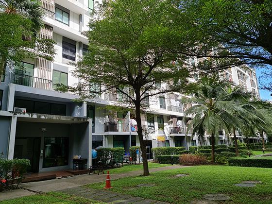 บางนา บางนา กรุงเทพมหานคร